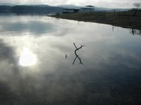 2004-04-03-Camping-Pace-Bend-06-scenery.JPG