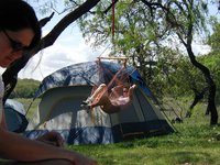 2004-04-03-Camping-Pace-Bend-29-Suzi-hammock.JPG