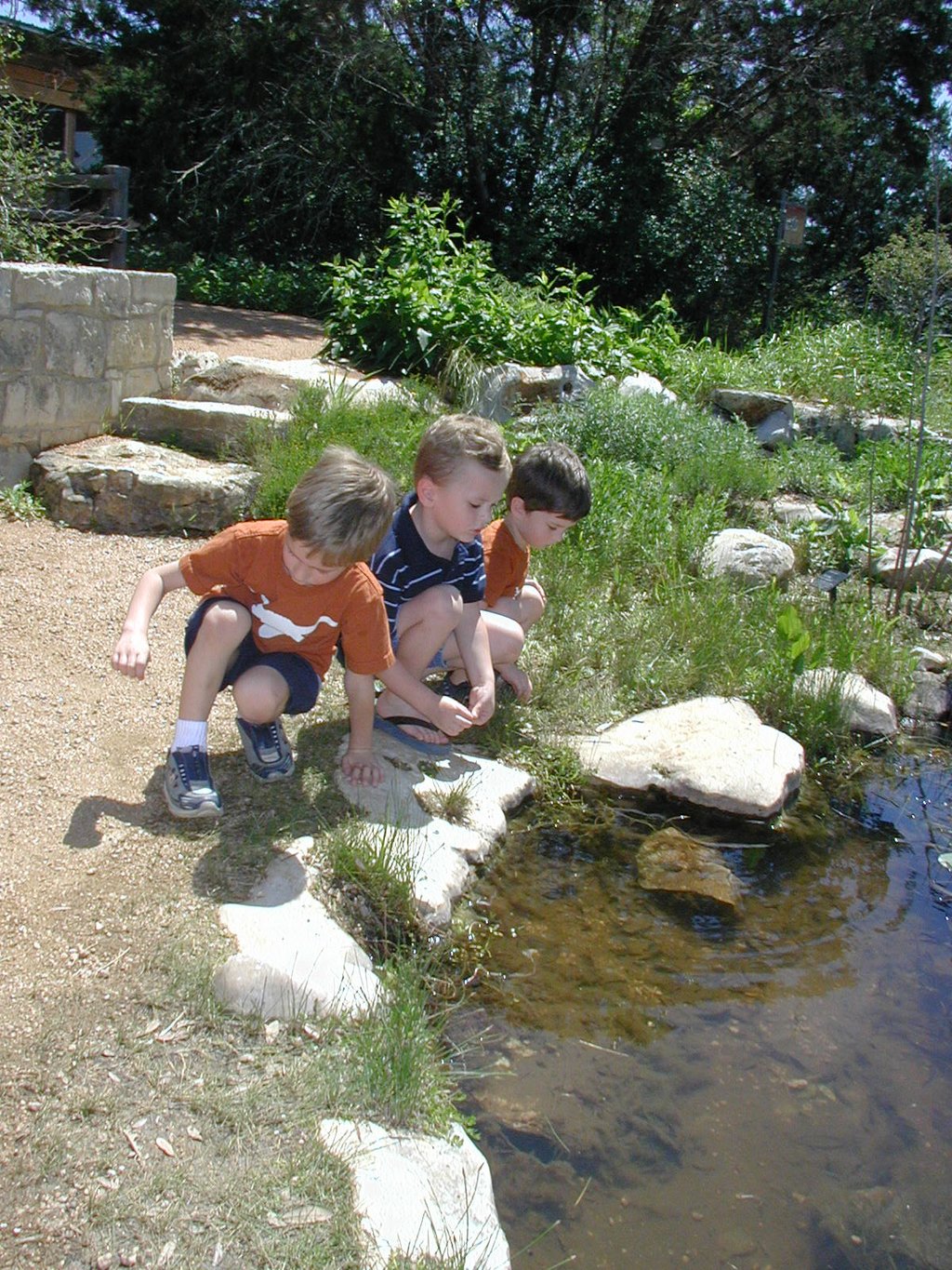 2004-04-01-wildflower-center-11-Chance-Vale-Dax.JPG