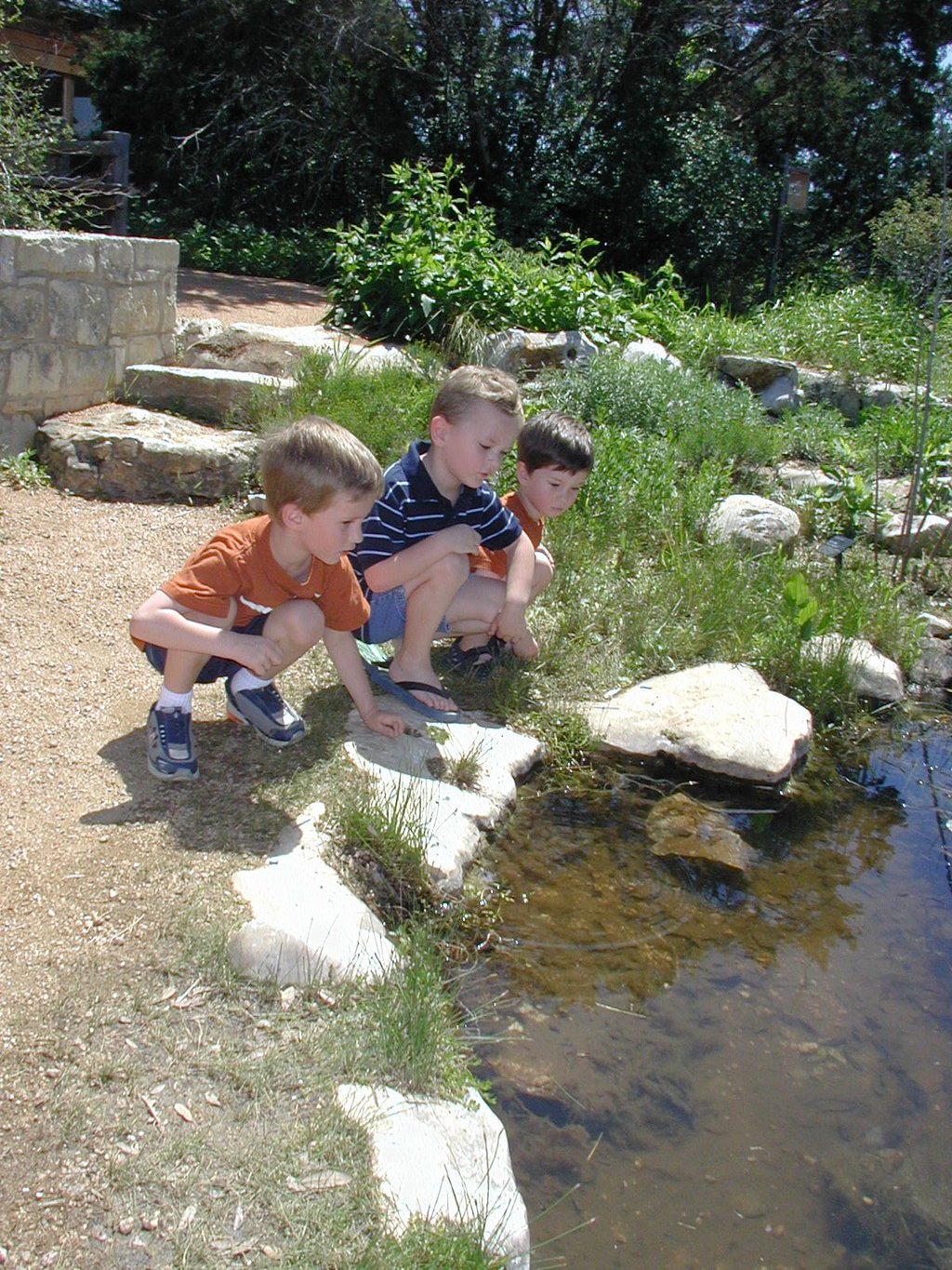 2004-04-01-wildflower-center-12-Chance-Vale-Dax.JPG