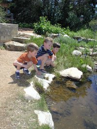 2004-04-01-wildflower-center-12-Chance-Vale-Dax.JPG