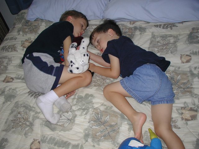 2004/07(July)/LasVegas/640x480_2004-07-08-Las-Vegas-4-Chance-Dax-sleeping.JPG