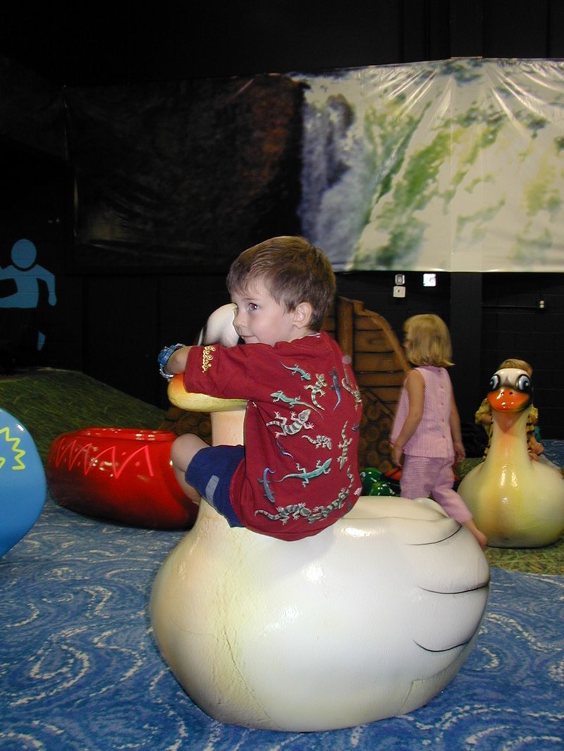 2004/08(August)/Case-3rd-Bday/800x600_2004-08-14-Case-Bday-22-Dax.JPG
