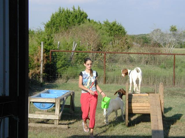 2004-09-03-Mike-and-Carla-4-Courtney-goats.JPG