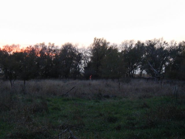 2004-10-26-Pheasant-Hunting-11.JPG