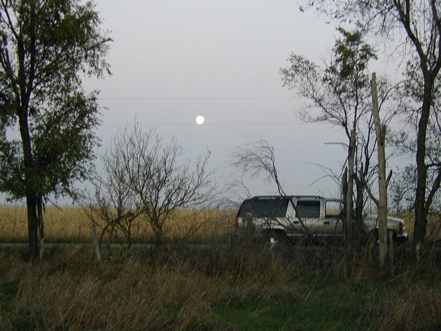 2004-10-26-Pheasant-Hunting-12-moon.JPG