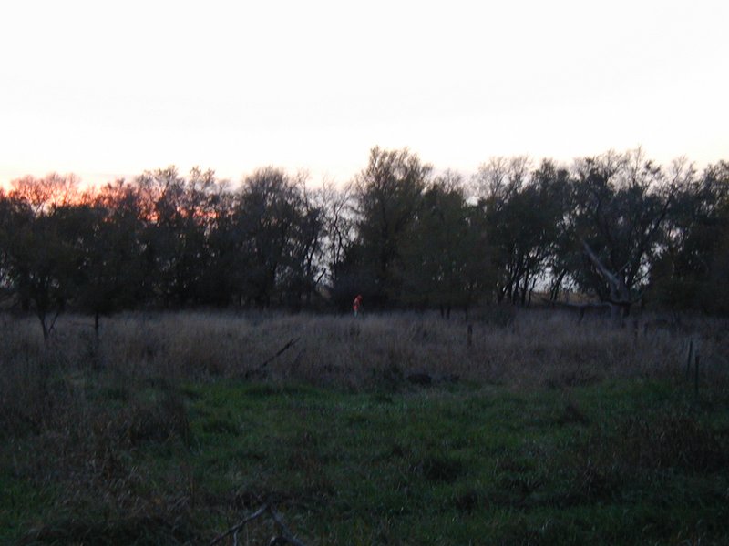 2004/10(October)/SD-Hunting/800x600_2004-10-26-Pheasant-Hunting-11.JPG