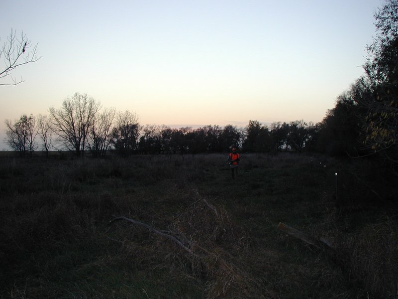 2004-10-26-Pheasant-Hunting-13.JPG