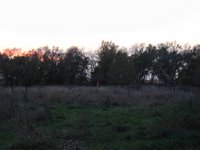 2004-10-26-Pheasant-Hunting-11.JPG