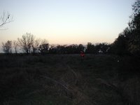 2004-10-26-Pheasant-Hunting-13.JPG
