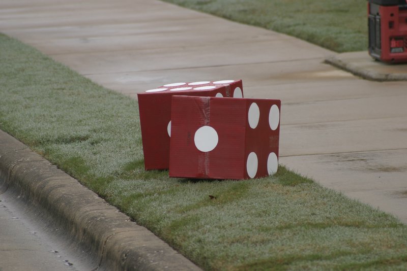 2004/11(November)/Motive-Bison-Stampede/800x600_2004-11-21-Motive-Bison-Stampede-15-dice.JPG