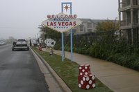 2004-11-21-Motive-Bison-Stampede-17.JPG