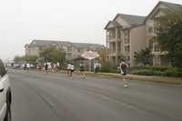 2004-11-21-Motive-Bison-Stampede-49.JPG