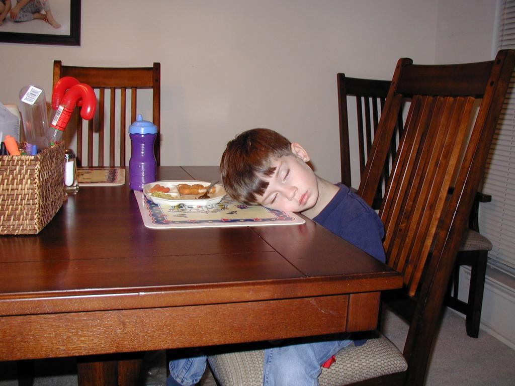2004/12(December)/Misc/1024x768_2004-12-27-Dax-sleeping-at-table-2.JPG