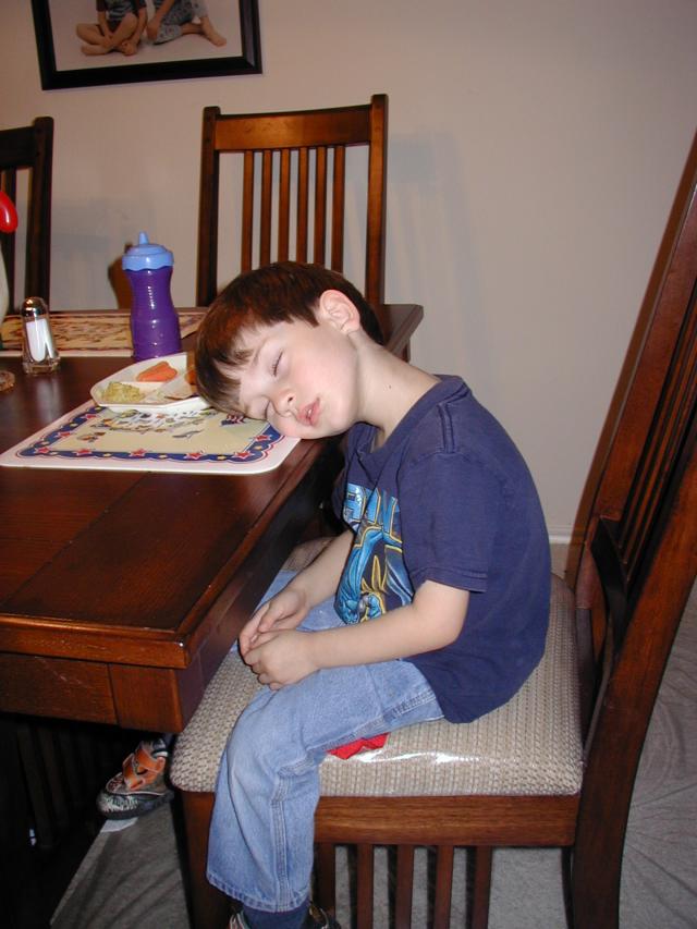 2004/12(December)/Misc/640x480_2004-12-27-Dax-sleeping-at-table-3.JPG