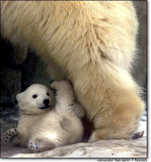 2004/BestPics/640x480_bestph24.jpg