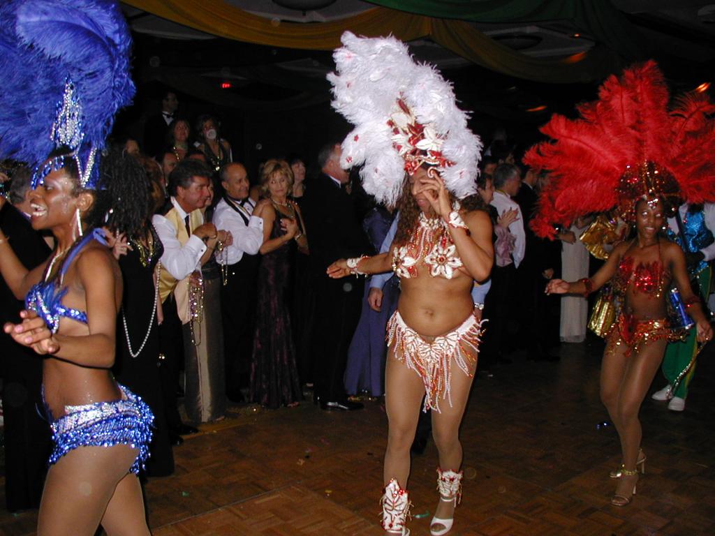 2005/01(January)/Coronation-Ball/1024x768_2005-01-08-Coronation-Ball-38-Parade.JPG