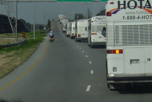 2005/02(February)/Buzz/640x480_DSC01065.JPG