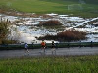 2005-02-13-Freescale-Marathon-17-Suzi-mile4.JPG