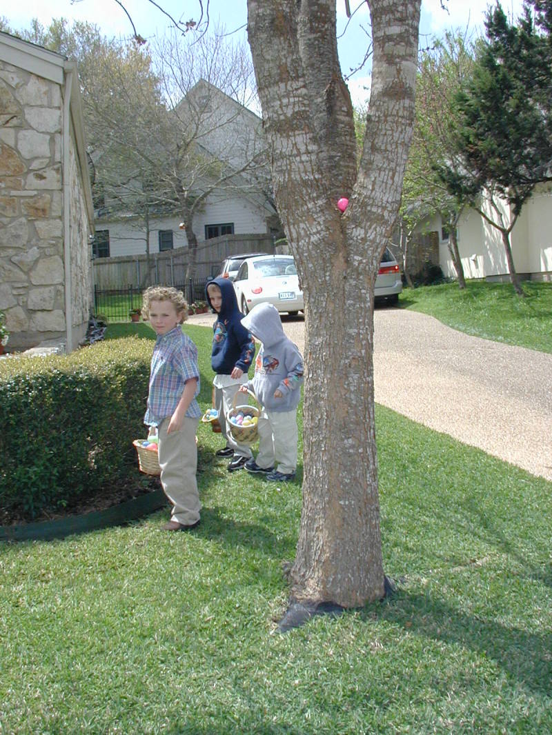 2005/03(March)/Easter/800x600_2005-03-27-Easter-19-Vale-Chance-Dax.JPG