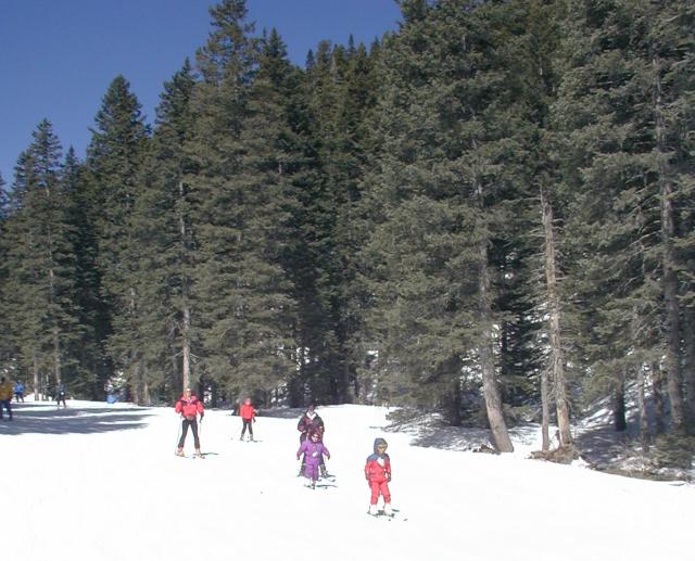 2005/03(March)/Ruidoso/Day1-skiing/640x480_2005-03-13-Rudoso-Skiing-04-Travis-Marci-Brittney-Chance.JPG
