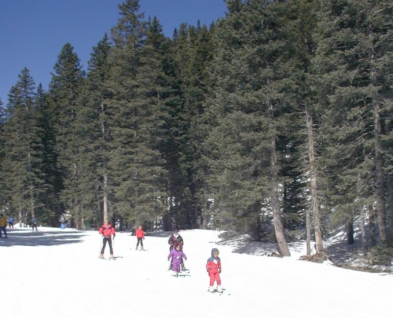 2005/03(March)/Ruidoso/Day1-skiing/800x600_2005-03-13-Rudoso-Skiing-04-Travis-Marci-Brittney-Chance.JPG