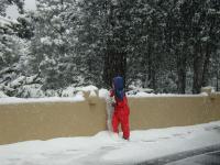 2005-03-15-Ruidoso-snowed-in-05-Chance.JPG
