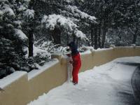 2005-03-15-Ruidoso-snowed-in-06-Chance.JPG
