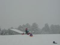 2005-03-15-Ruidoso-snowed-in-18-sledding.JPG