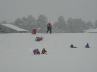 2005-03-15-Ruidoso-snowed-in-19-sledding-Chance-falling.JPG