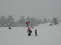 2005-03-15-Ruidoso-snowed-in-21-sledding-Dax-snow-angel.JPG