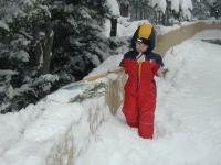 2005-03-15-Ruidoso-snowed-in-28-shovelling-Dax.JPG