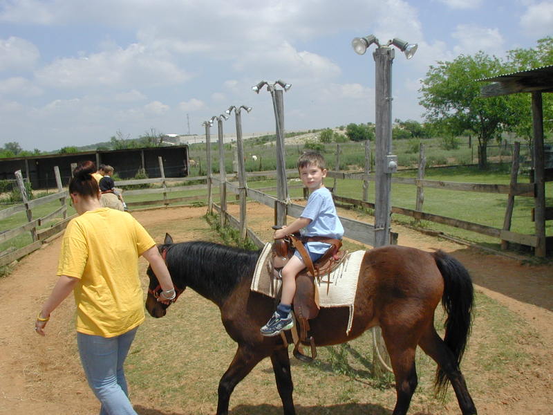 2005-04-16-Zachary-bday-Kiddie-Acres-24-Dax-pony.JPG