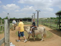 2005-04-16-Zachary-bday-Kiddie-Acres-18-Chance-pony.JPG