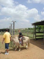 2005-04-16-Zachary-bday-Kiddie-Acres-20-Chance-pony.JPG