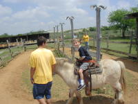 2005-04-16-Zachary-bday-Kiddie-Acres-23-Chance-pony.JPG