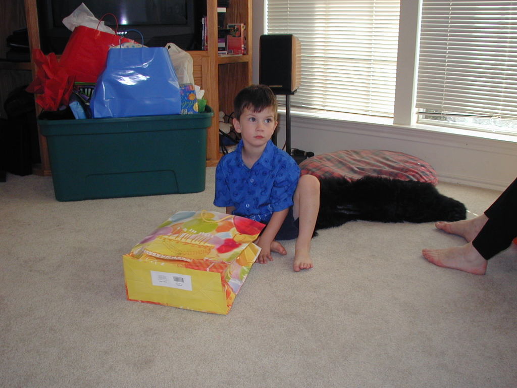 2005/05(May)/Dax-4th-Bday/1024x768_2005-05-01-Dax-4th-Bday-43-presents.JPG