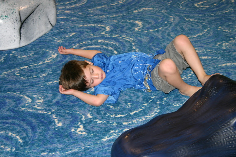 2005/05(May)/Jackson-4th-bday/800x600_2005-05-22-Jackson-4th-bday-03-Dax.JPG