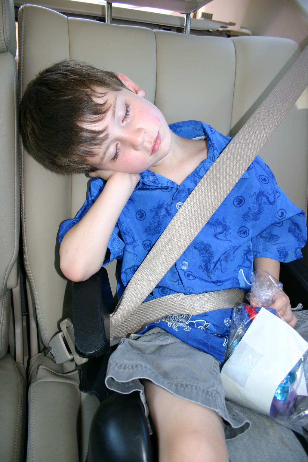 2005-05-22-Dax-sleeping-in-car-1.JPG