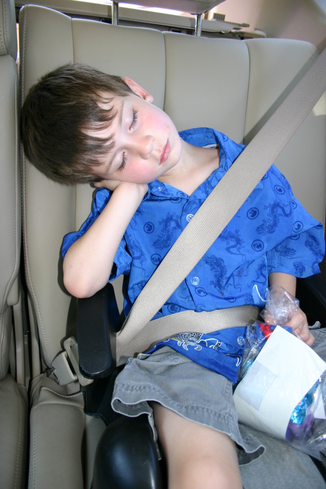 2005-05-22-Dax-sleeping-in-car-1.JPG
