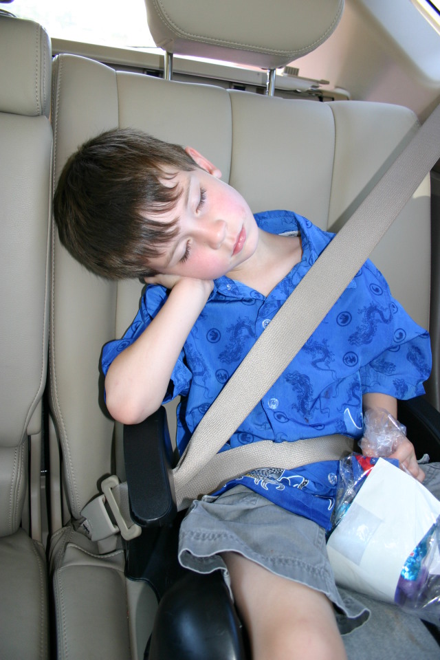 2005-05-22-Dax-sleeping-in-car-2.JPG