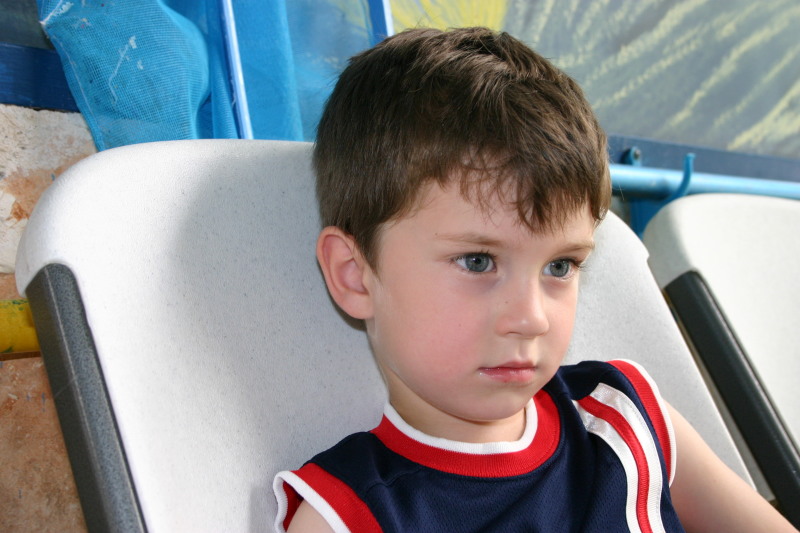 2005/05(May)/Swimming/800x600_2005-05-12-Chance-Swim-show-14-Dax-waiting.JPG