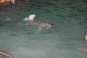 2005-05-12-Chance-Swim-show-39.JPG