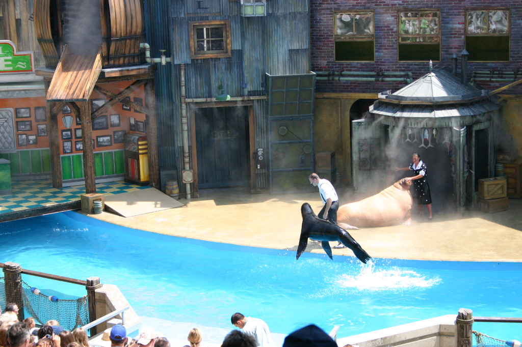 2005/06(June)/SeaWorld/1024x768_2005-06-23-SeaWorld-11-SeaLion-show.JPG