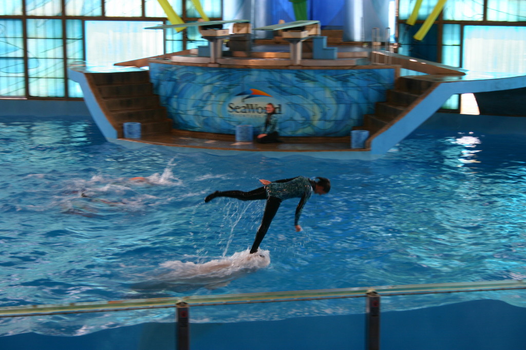 2005/06(June)/SeaWorld/1024x768_2005-06-23-SeaWorld-91-Acrobat-show.JPG