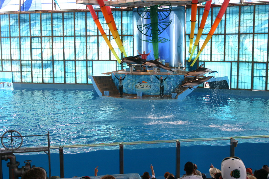 2005/06(June)/SeaWorld/1024x768_2005-06-23-SeaWorld-94-Acrobat-show.JPG