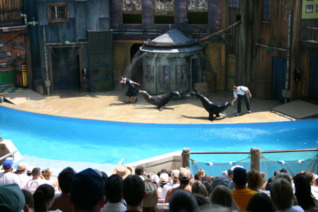 2005-06-23-SeaWorld-08-SeaLion-show.JPG