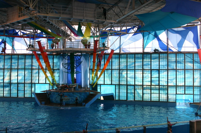 2005/06(June)/SeaWorld/640x480_2005-06-23-SeaWorld-96-Acrobat-show.JPG