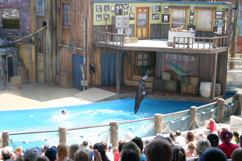 2005-06-23-SeaWorld-09-SeaLion-show.JPG