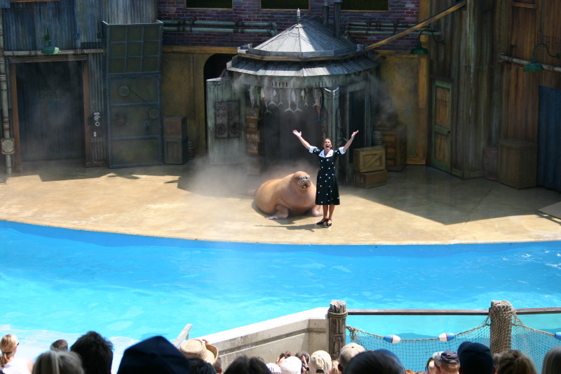2005-06-23-SeaWorld-10-SeaLion-show.JPG